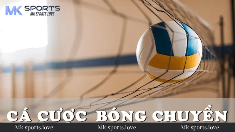 Vài Nét Cơ Bản Về Cá Cược Bóng Chuyền Mk sports